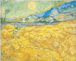 Le jaune selon Van Gogh