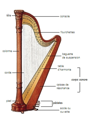 Dossier pédagogique : tout savoir sur la harpe