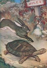 Le lièvre et la tortue jouent dans ce spectacle pour enfants