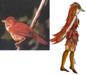 Extrait du dossier pédagogique pour écoles primaires